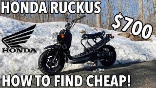 Buying the CHEAPEST HONDA RUCKUS EVER How to find one [upl. by Aleinad]