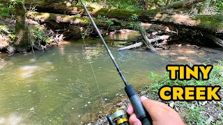 Simplified Creek Ultralight Fishing [upl. by Farkas]