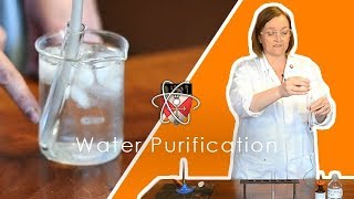 Water Purification amp Testing  GCSE Science Required Practical Triple [upl. by Ilene]