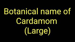 Botanical name of Cardamom large  Scientific name of Cardamom large  बड़ी इलायची का वैज्ञानिक नाम [upl. by Horwath386]