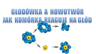 Głodówką w nowotwór  Jak komórka reaguje na głód  Czy quotrakquot to przetrwa [upl. by Jarl201]