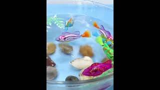 THKro Prezinta Lumea Animalelor Pestisorul de Aur animation fish [upl. by Amoihc]