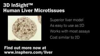 3D Human Liver Microtissues for invitro toxicology  A brief introduction [upl. by Hsital]