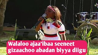 walaloo ajaaibaa seeneet gizaachoo abadan biyya diigu kan qophii OBN ayyaana qilee irratti dhiyaate [upl. by Ailekat]