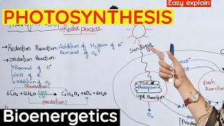 Photosynthesis  Reaction of photosynthesis class 11 bioenergetics [upl. by Atnad470]