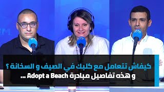 كيفاش تتعامل مع كلبك في الصيف و السخانة ؟ و هذه تفاصيل مبادرة Adopt a Beach [upl. by Kosey462]