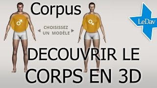 BALADE TOI DANS TON CORPS  Corpus découvrir le corps humain en 3D [upl. by Schinica359]