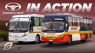 DAEWOO BUSES In Action [upl. by Marietta]