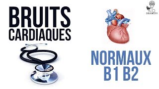 Ecoutez les Bruits Cardiaques Normaux B1 B2 [upl. by Aryek]