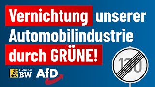 Vernichtung unserer Automobilindustrie durch GRÜNE Regierung [upl. by Aleris]