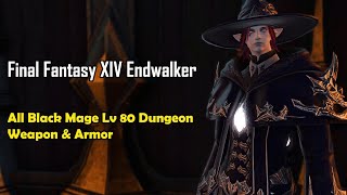 FFXIV Endwalker All Black Mage Weapon amp Armor From Lv 80 Dungeon [upl. by Ferri441]