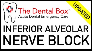 Inferior Alveolar Nerve Block [upl. by Enived]