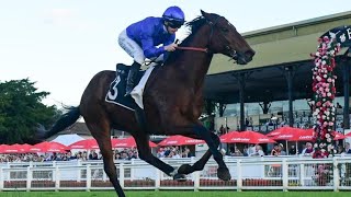 2024 Stradbroke Handicap Day  Eagle Farm Tips TESTING OUT A NEW ALGORITHM [upl. by Neumann]