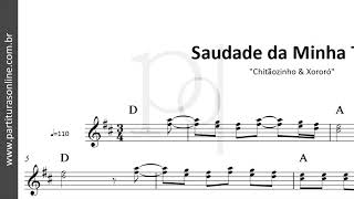 Saudade da Minha Terra ♪ Chitãozinho amp Xororó  Partitura [upl. by Maddis628]