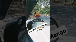 Mango for Sale subscribe viralvideo trendingshorts mangoforsale badobadi [upl. by Etsyrk138]