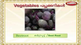 Learn Malayalam Through English  Lesson  09  Vegetables [upl. by Llednor192]