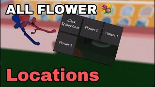 ALL SPAWN LOCATIONS FOR FLOWERS IN BLOX PIECE  UPDATE 8 [upl. by Rusert]