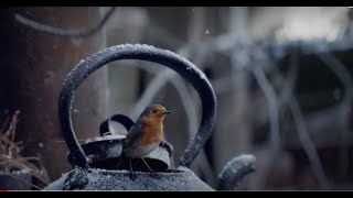 Waitrose Christmas Commercial Coming Home Drone Operator Tony Young Queenstown [upl. by Burney886]