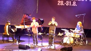 Satoko Fujii amp KAZE  live  Saalfelden Jazzfestival 2014 [upl. by Adnolat966]