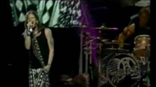 AEROSMITH  I Dont Want Miss A Thing Live NYC 2005 [upl. by Alton]