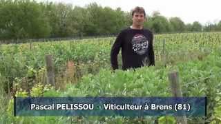 Vignes  des couverts végétaux pour des sols vivants [upl. by Humph]