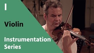 Violin  David Newman Instrumentation Series [upl. by Leihcey926]