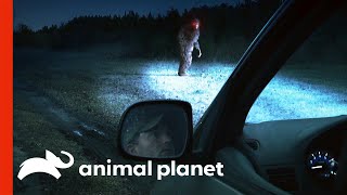 Witness Recalls Frightening Encounter With Bigfoot  Finding Bigfoot [upl. by Nodnar]