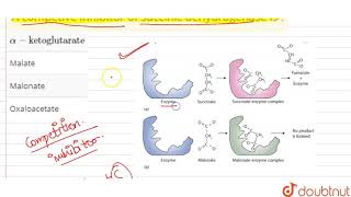 A competive inhibitor of succinic dehydrogenase is [upl. by Enoch]