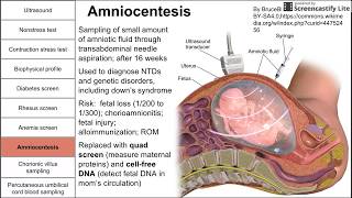 Prenatal screening fetal testing and other tests during pregnancy [upl. by Lotus]