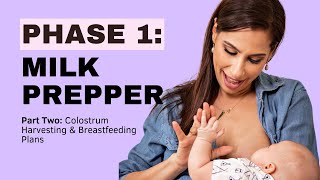 Mastering Breastfeeding The Ultimate FREE Online Class for New Moms MILK PREPPER Part 2 [upl. by Peyter]