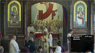 Nov 03 2024 Sunday Divine Liturgy [upl. by Davin]