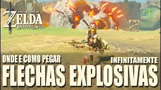 ZELDA BREATH OF THE WILD  ONDE E COMO PEGAR FLECHAS EXPLOSIVAS INFINITAMENTE10MIN [upl. by Bunce]