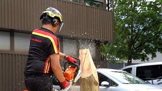 Chainsaw Carving at Protos Pfanner [upl. by Vaden678]