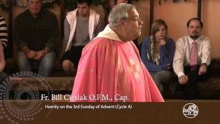 Homily 3rd Sunday of Advent Cycle A Fr Bill Cieslak [upl. by Calesta]