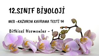 14 12 SINIF BÄ°YOLOJÄ° MEB KAZANIM KAVRAMA TESTÄ° Bitkisel Hormonlar  1 [upl. by Norha]