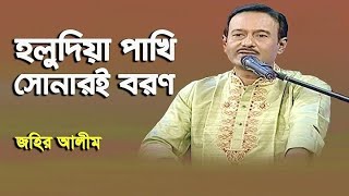 Holudia pakhi sonari boron  হলুদিয়া পাখি  ABDUL ALIM [upl. by Nnylasor]