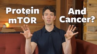 mTOR Protein 🥩amp Cancer new science MITs David Sabatini [upl. by Fasano]