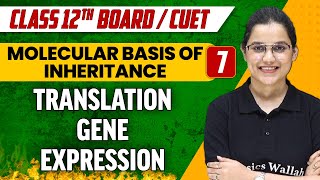 Molecular Basis of Inheritance 07  Translation Gene Expression  Class 12thCUET [upl. by Leima]