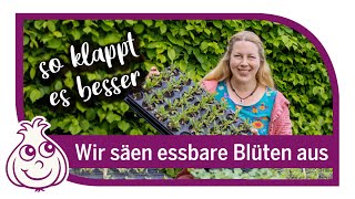 Aussaaten im Mai  Blumen für Mischkultur mit Gemüse [upl. by Brunhild]