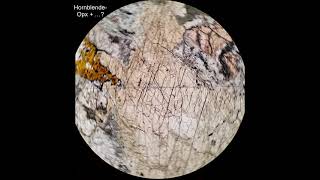 Hornblende tutorial Optical mineralogy [upl. by Ayna]