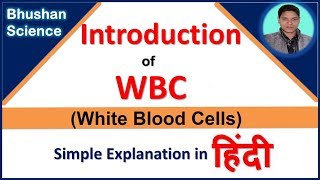 WBC White Blood Cells Introduction in Hindi  Bhushan Science [upl. by Htebazileharas]