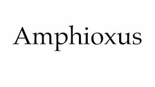 How to Pronounce Amphioxus [upl. by Lalage]