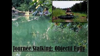 Journée Stalking 10 carpes sur mon SPOT [upl. by Rotkiv]