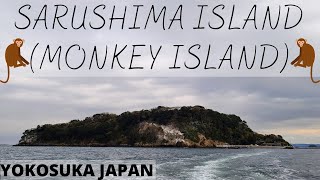 ENJOYING A DAY AT SARUSHIMA ISLAND MONKEY ISLAND [upl. by Akinot446]