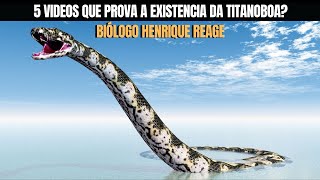 5 VIDEOS QUE PROVAM A EXISTENCIA DA TITANOBOA mundocuriosoficial  Biólogo Henrique REAGE [upl. by Asiralc]