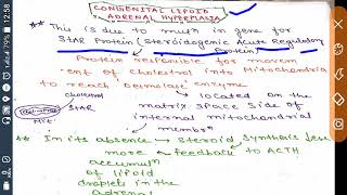 CCONGENITAL LIPOID ADRENAL HYPERPLASIA Star PROTEIN   STEROID HORMONE SYNTHESIS [upl. by Lynde]