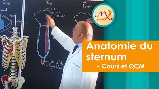 Anatomie du Sternum Cours et QCM [upl. by Akim32]