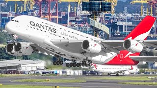 400 AIRCRAFT TAKEOFFS amp LANDINGS in 4 HOURS Aircraft Identification  Sydney Airport Plane Spotting [upl. by Carolann]