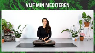 5 min mediteren om je gedachten te sussen [upl. by Yelraf328]