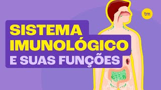 Como funciona o SISTEMA IMUNOLÓGICO Resumão [upl. by Effie]